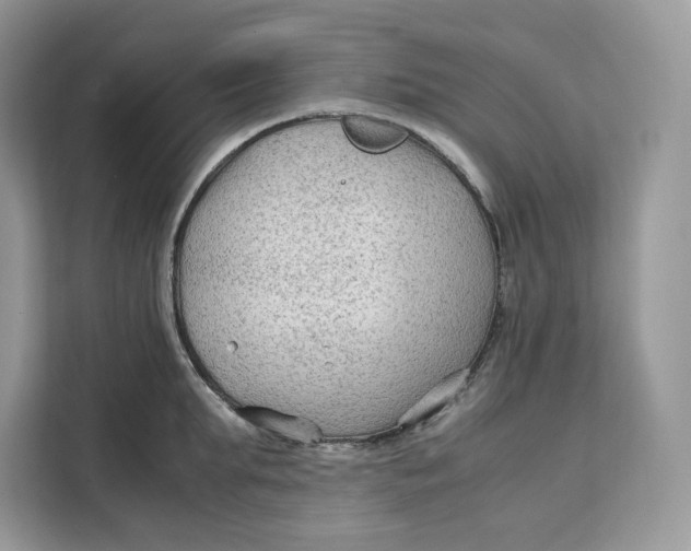 X0000112210903200908281457
