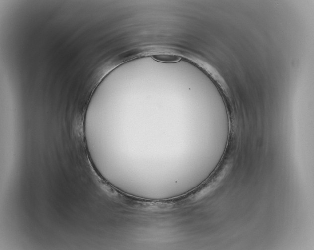 X0000112210905200908281457