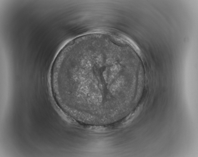 X0000112210907200908281457