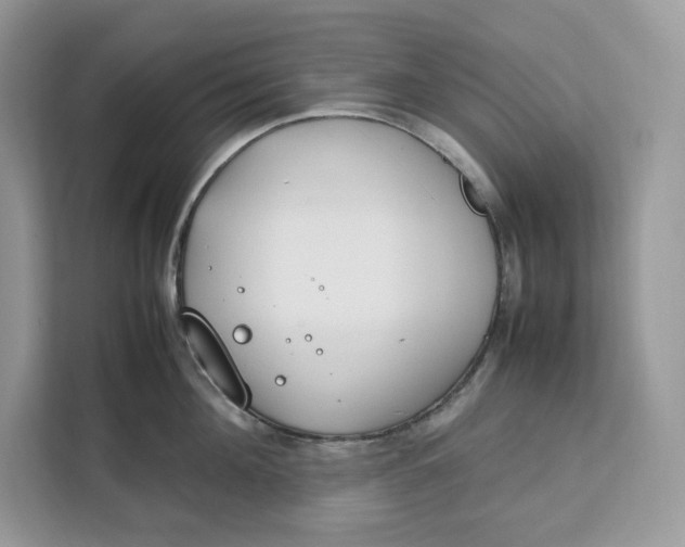 X0000112210908200908281457