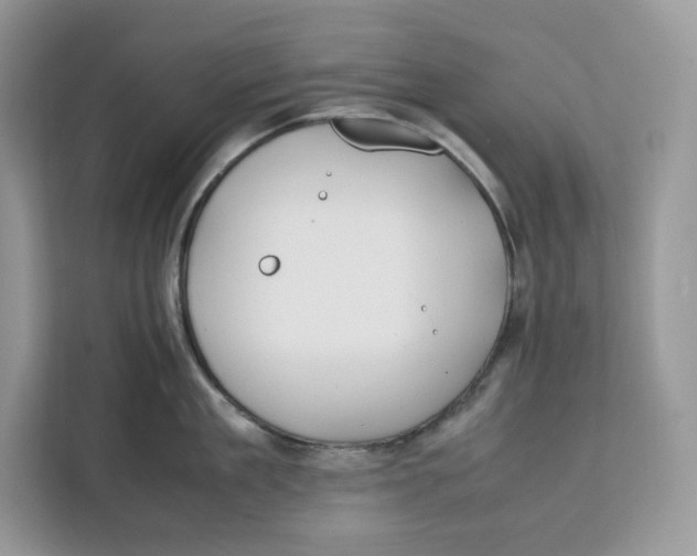 X0000112210909200908281457