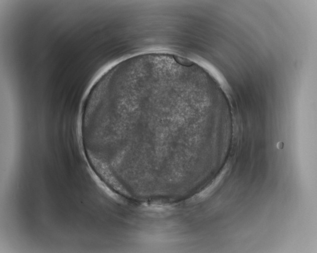 X0000112210910200908281457