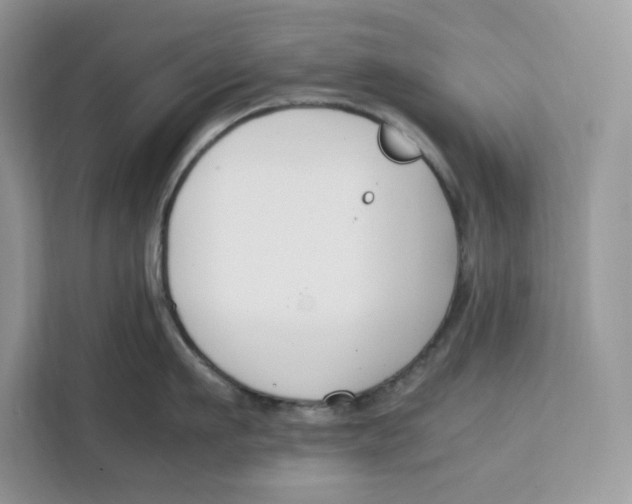 X0000112210911200908281457
