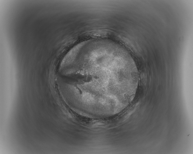 X0000112210913200908281456