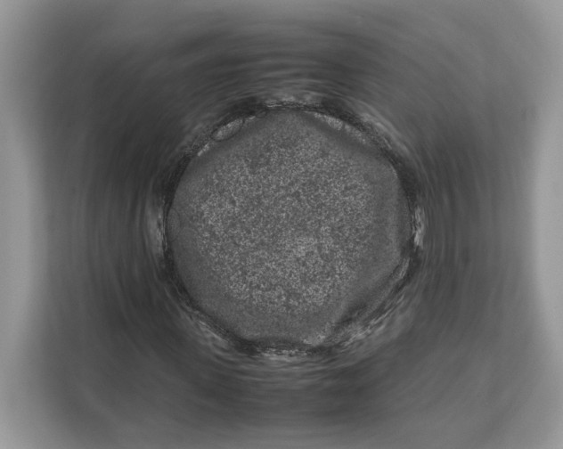 X0000112210915200908281456