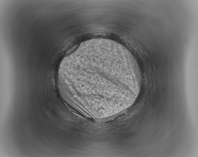 X0000112210916200908281456