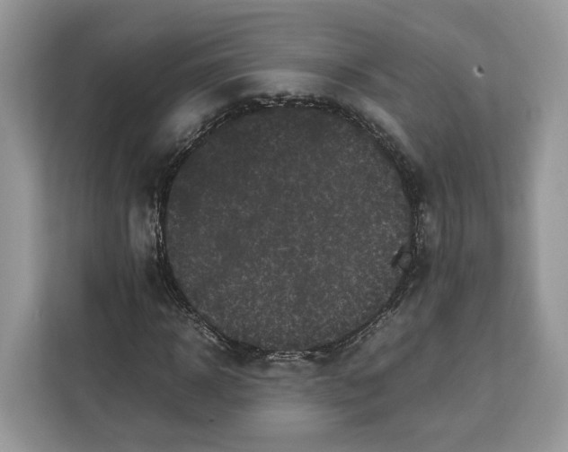 X0000112210918200908281456