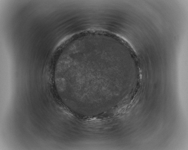 X0000112210919200908281456
