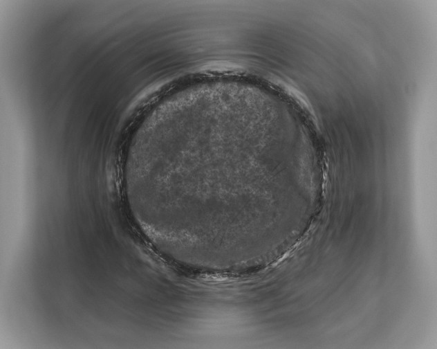 X0000112210920200908281456