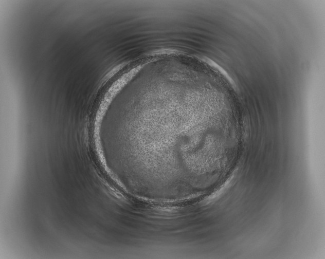 X0000112210921200908281456
