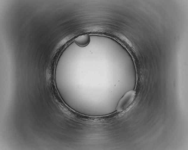 X0000112210922200908281456