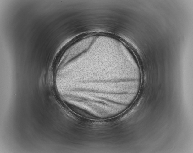 X0000112210925200908281456