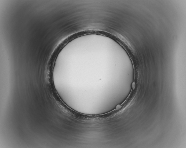 X0000112210926200908281456