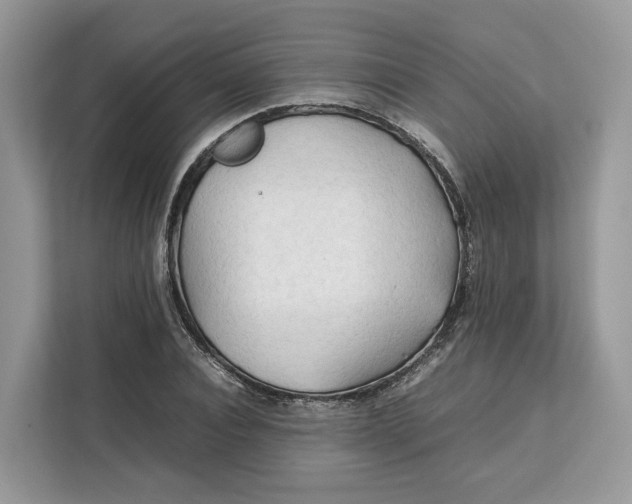 X0000112210928200908281456