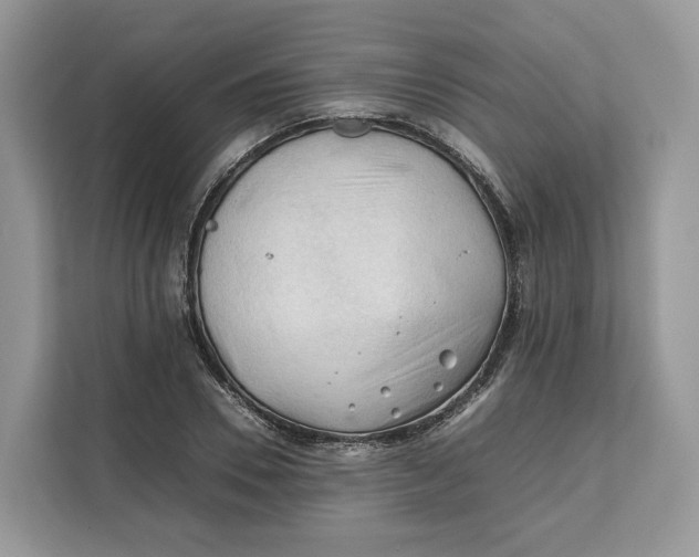 X0000112210930200908281457