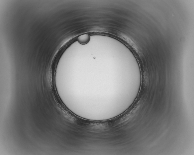 X0000112210931200908281457
