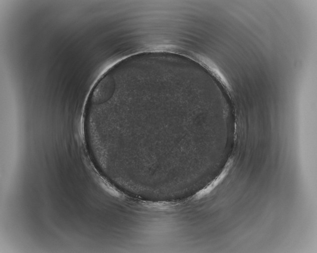 X0000112210932200908281457