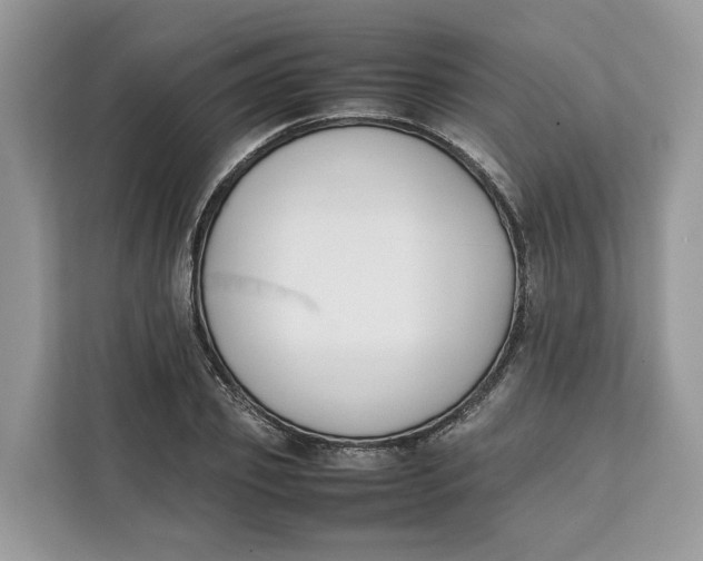 X0000112210933200908281457