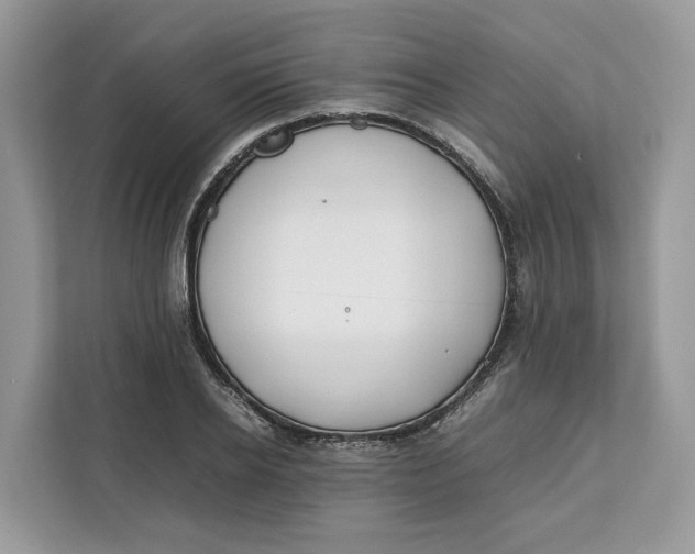 X0000112210934200908281457