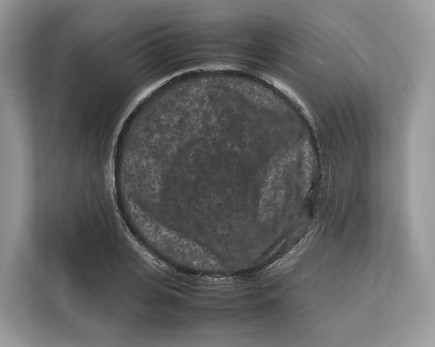 X0000112210935200908281457