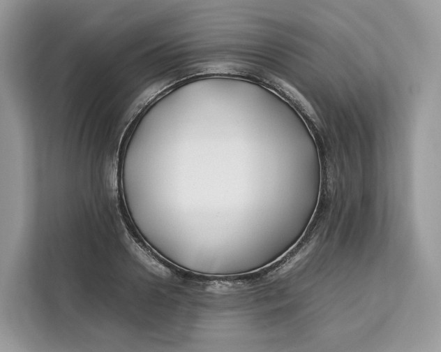 X0000112210938200908281457