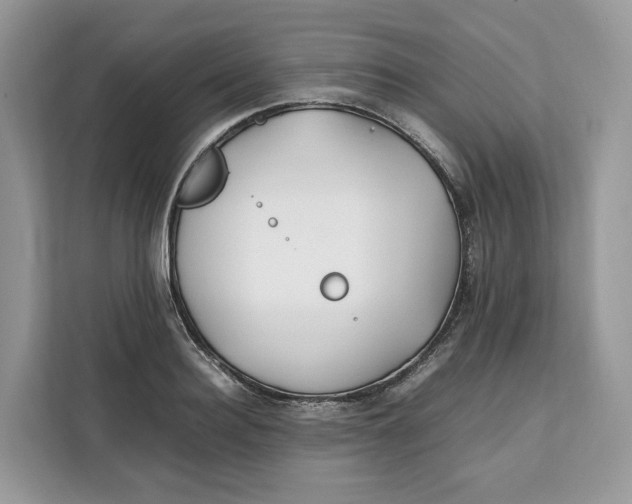 X0000112210940200908281457