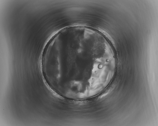 X0000112210941200908281457