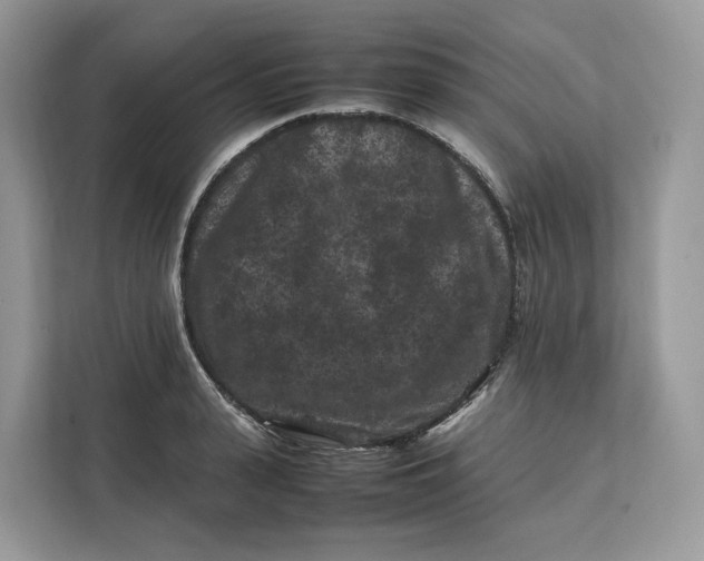 X0000112210943200908281457