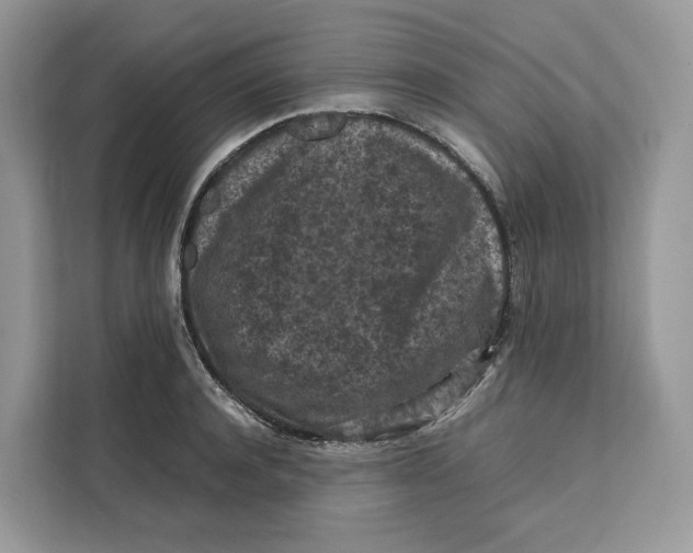 X0000112210944200908281457