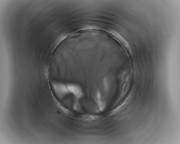 X0000112210945200908281457