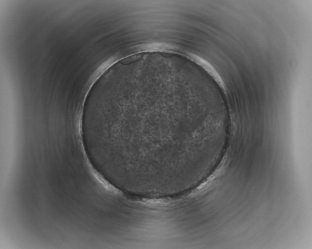 X0000112210946200908281457