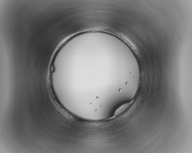 X0000112210948200908281457