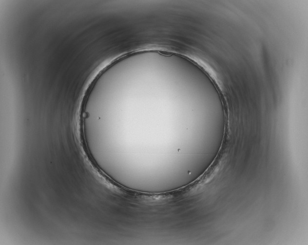 X0000112210949200908281457
