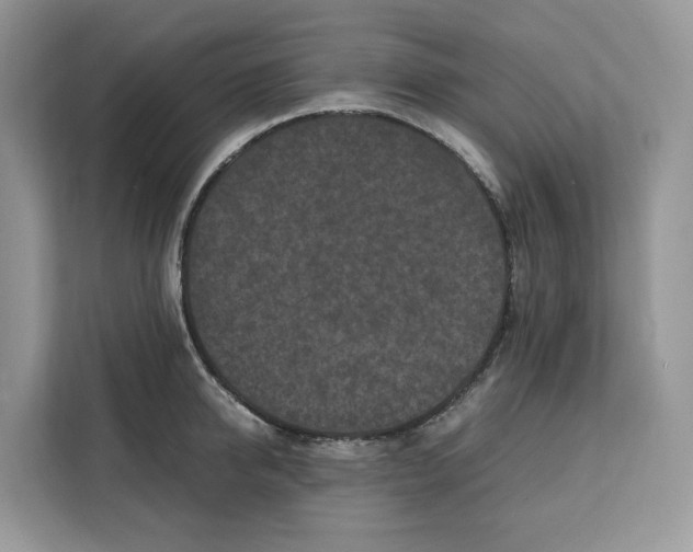 X0000112210950200908281457