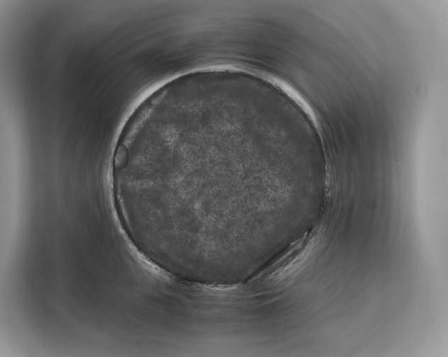 X0000112210951200908281457