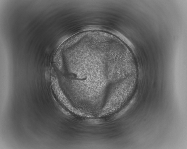 X0000112210953200908281457
