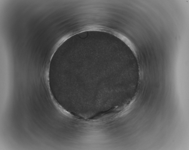 X0000112210954200908281457