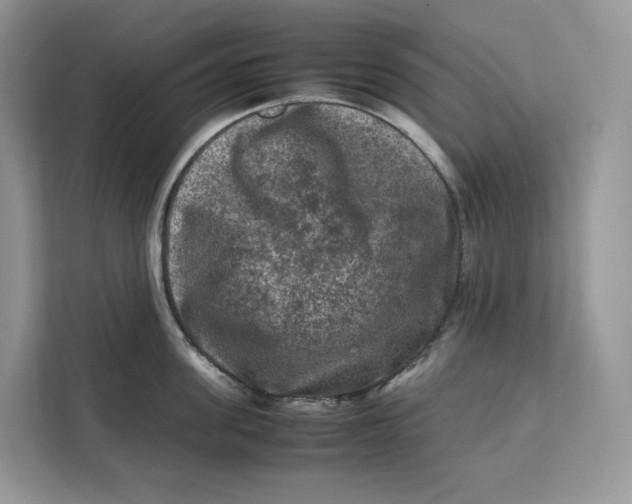 X0000112210955200908281457