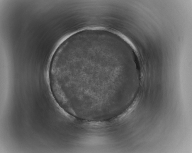 X0000112210959200908281457