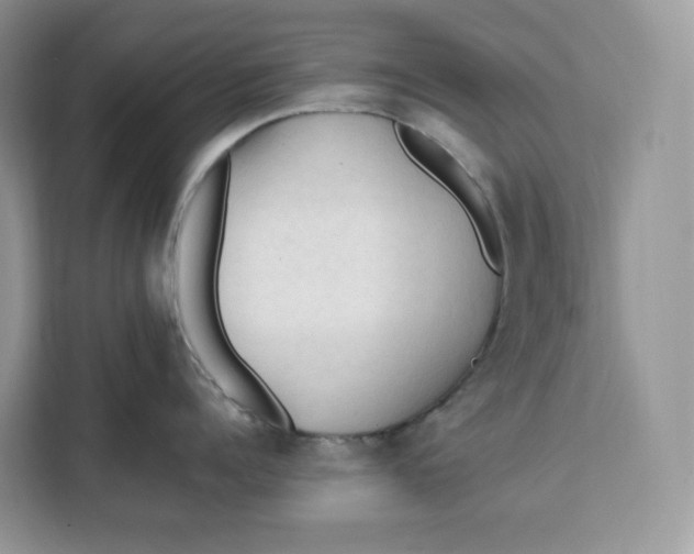 X0000112210960200908281457