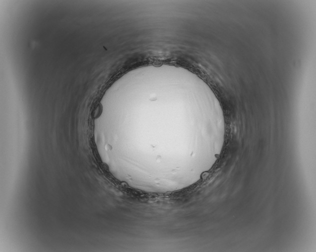 X0000112210961200908281456