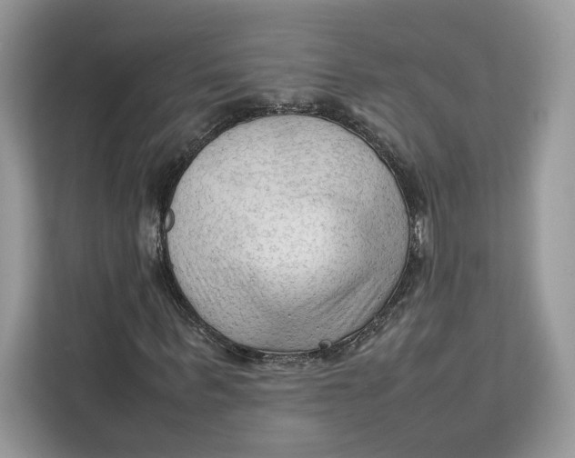 X0000112210963200908281456
