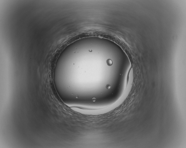 X0000112210965200908281456
