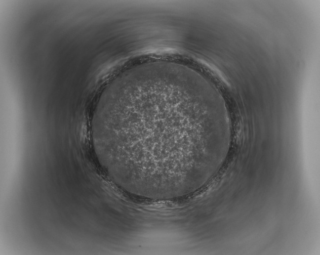 X0000112210966200908281456