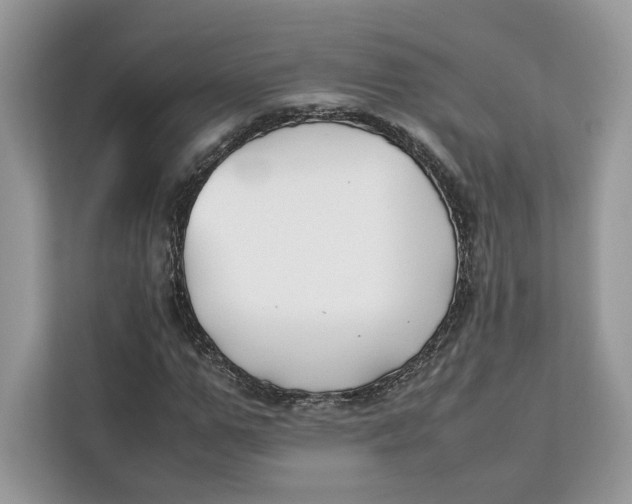 X0000112210967200908281456