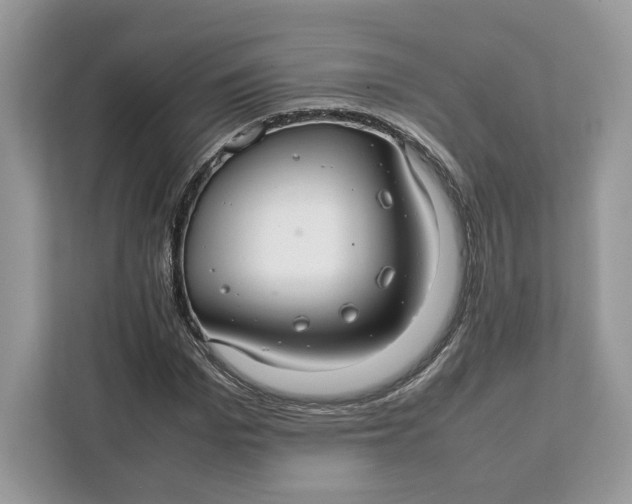 X0000112210969200908281456