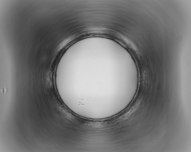 X0000112210970200908281456