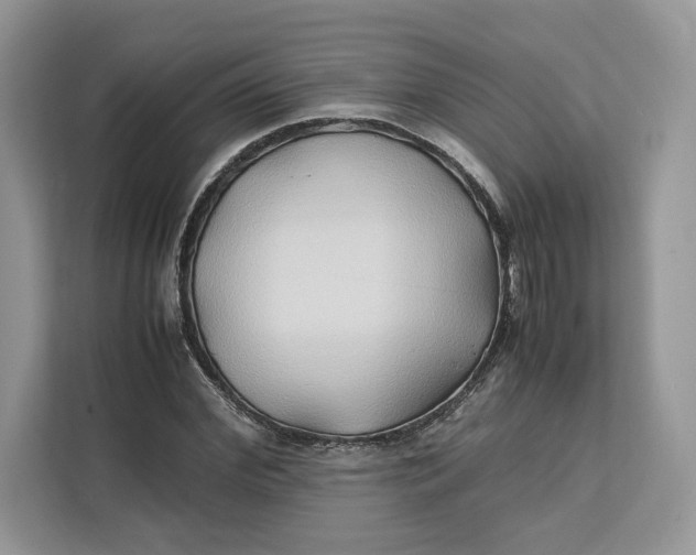 X0000112210972200908281456