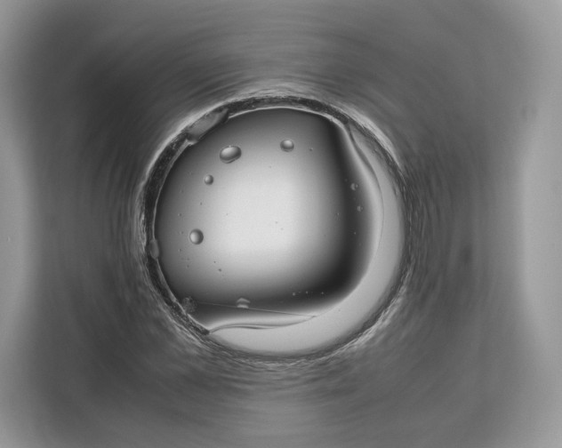 X0000112210973200908281456