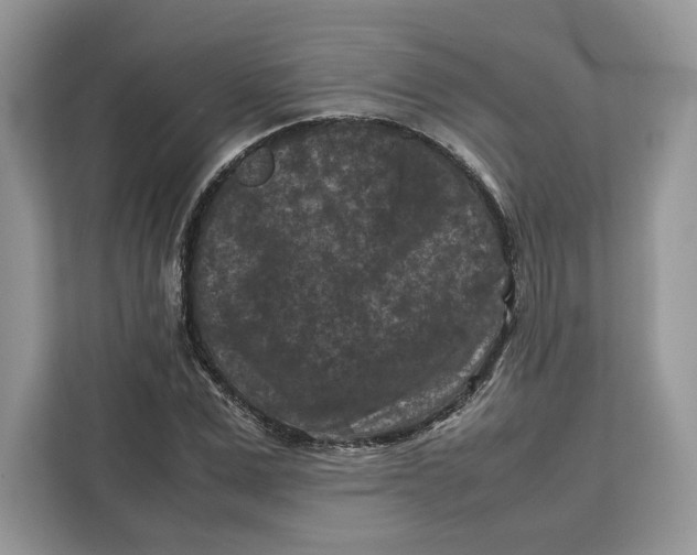 X0000112210975200908281456